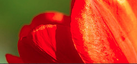 免费cc攻击测试